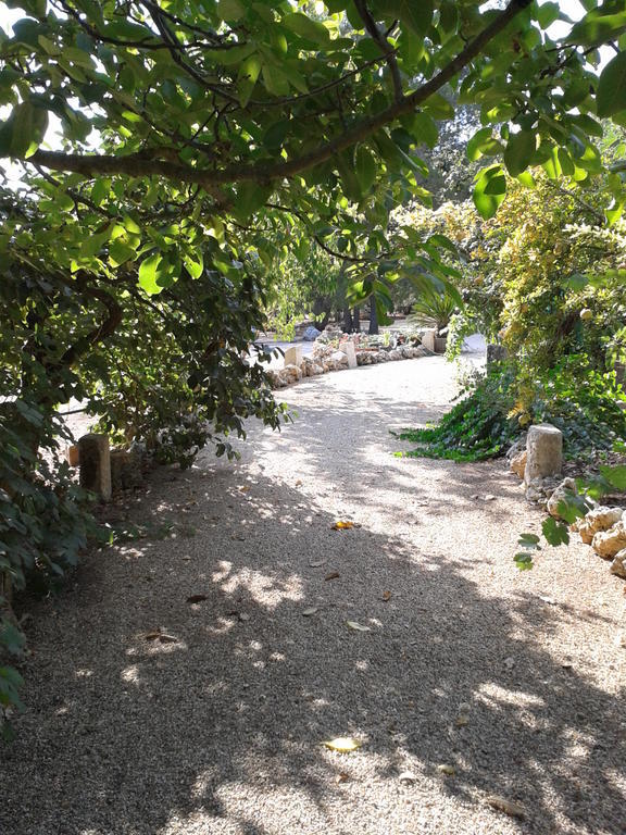 Tenuta La Spezia Carpignano Salentino Exterior foto